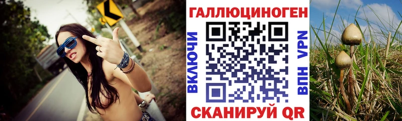 Купить где  Пестово  Псилоцибиновые грибы мицелий 